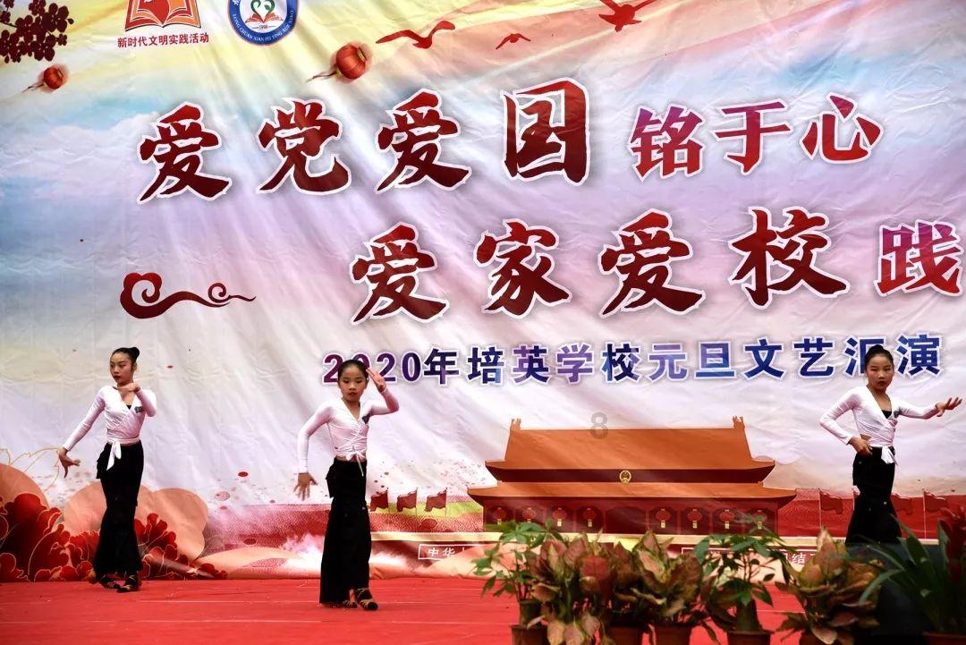 请问这种乌龟是什么种类-专业问答交流平台